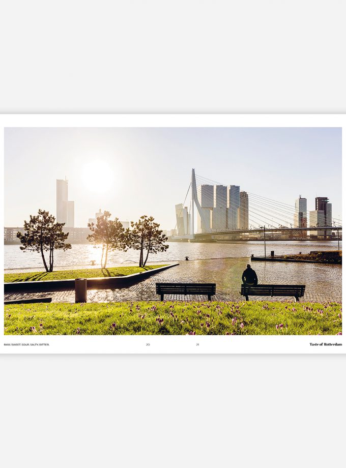 Taste of Rotterdam (EN)